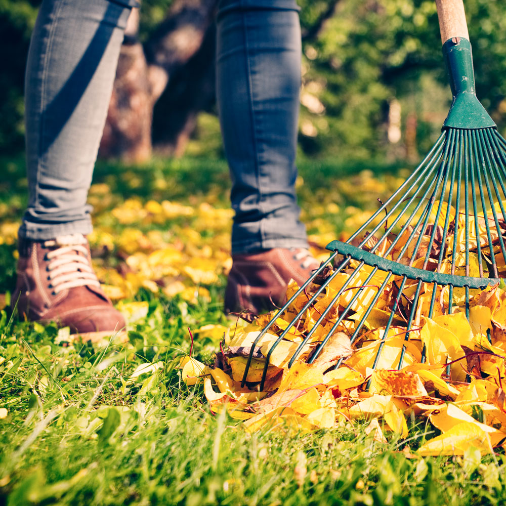 Personne ratissant les feuilles dans la cour en automne #1-choisir-son-profil_haut